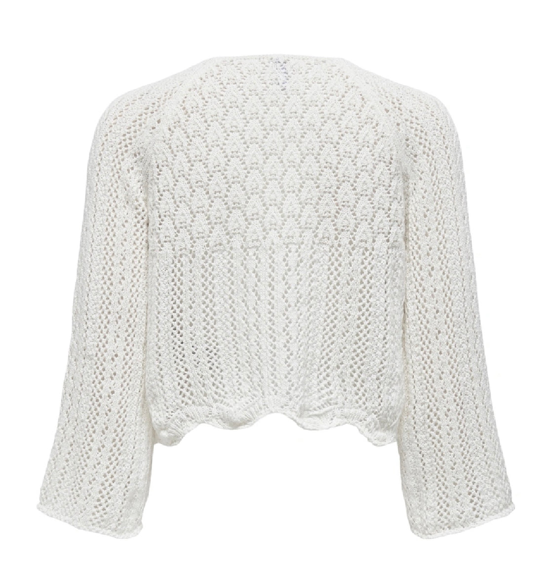 Only Nola Crochet Pullover, Cloud Dancer
